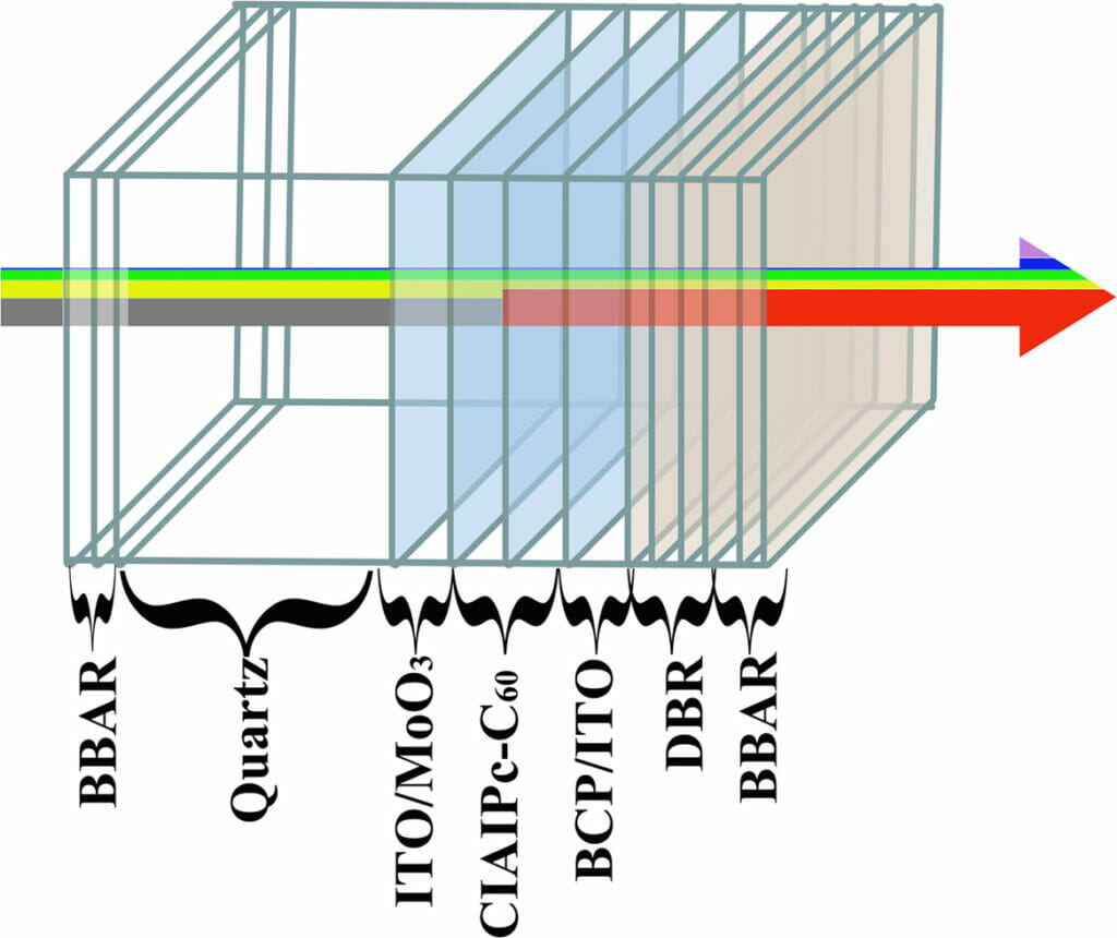 setup of cell contents in order