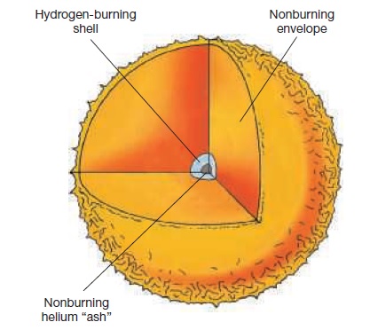 Hydrogen Shell Burning As a star’s core converts more and more of its hydrogen into helium, the hydrogen in the shell surrounding the nonburning helium “ash” burns ever more violently.