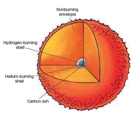 Helium Shell Burning Within a few million years after the onset of helium burning, carbon ash accumulates in the star’s inner core