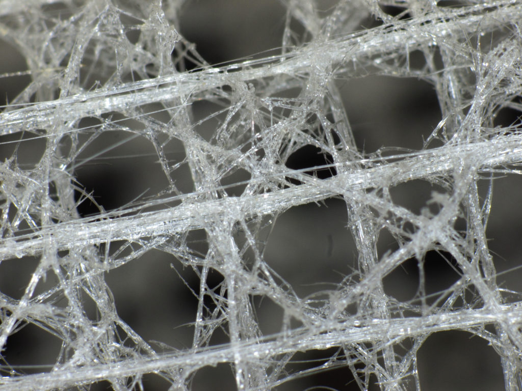 Close-up of the Venus’ flower basket’s square lattice skeleton inspiring engineering 