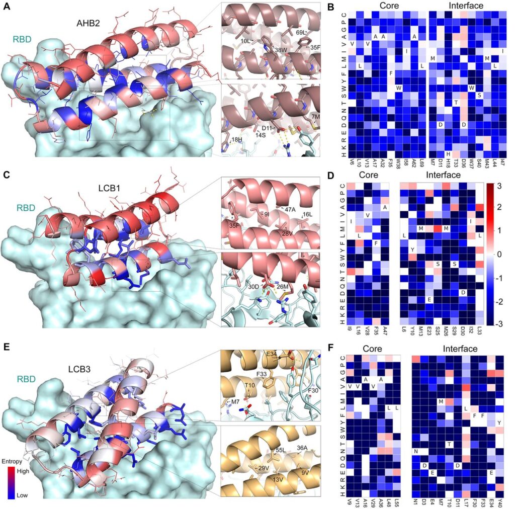 Sequence mapping of AHB2, LCB1, and LCB3 