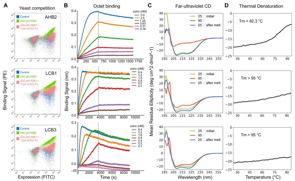 optimized designs and its affinity graphs 