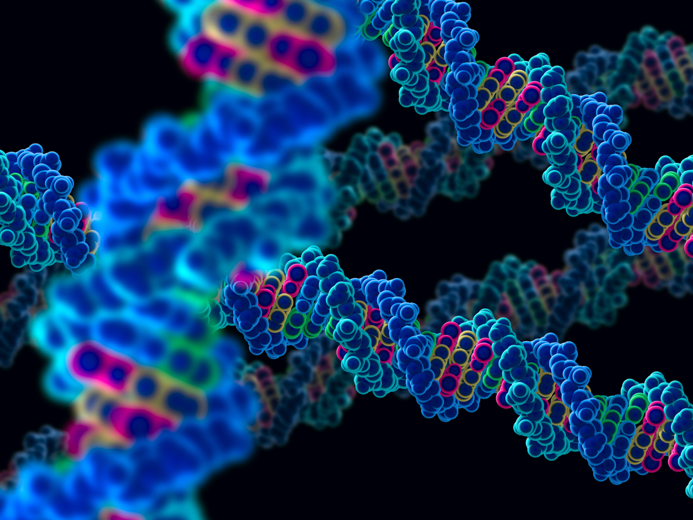 Artistic Rendering of Proteins in DNA