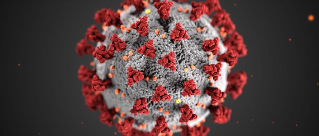Artistic rendering of coronavirus
