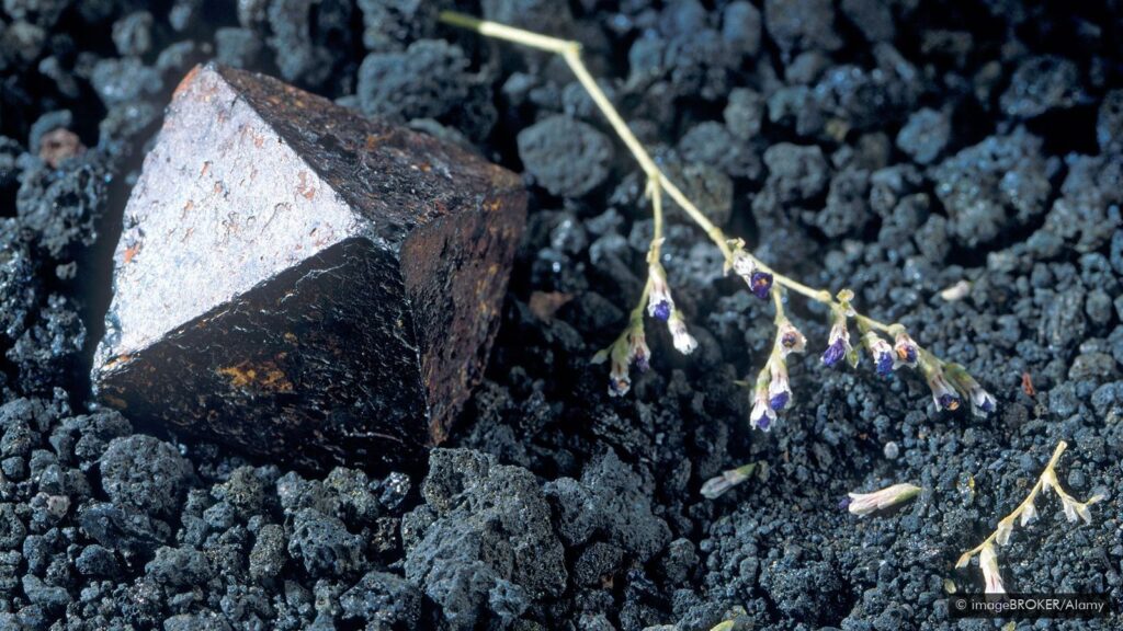 Image featuring magnetite, an ore on which bacteria can feed.