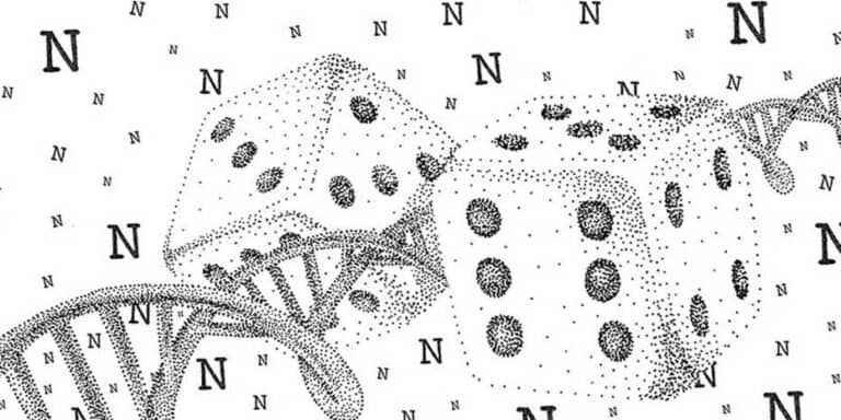 A Biochemical Random Number: DNA synthesis in absolute new way