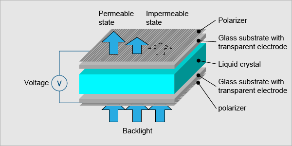 The detailed structure of LCD