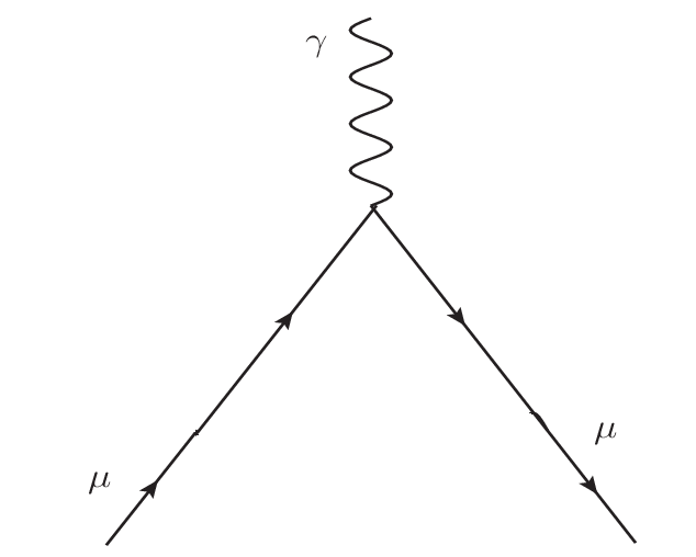 Feynman Diagram and Muon
