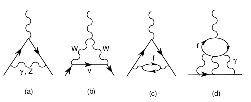 Feynman Diagrams and Muons