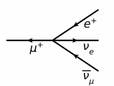 Muon and time dilation