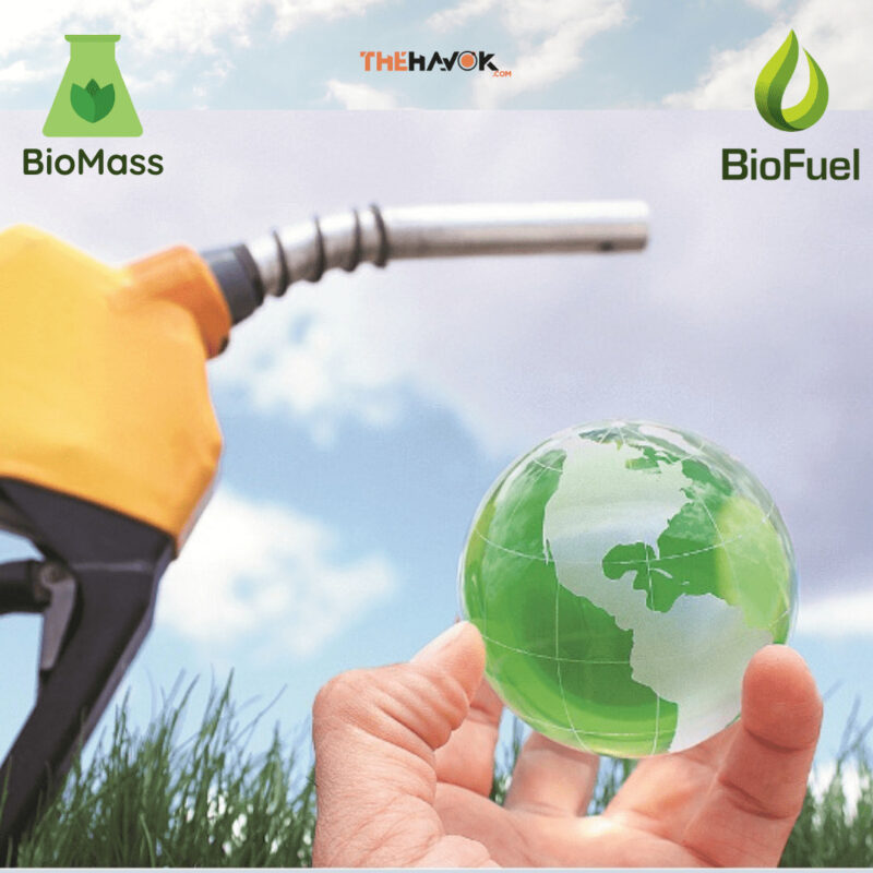 Zeolites: Biomass to biofuel